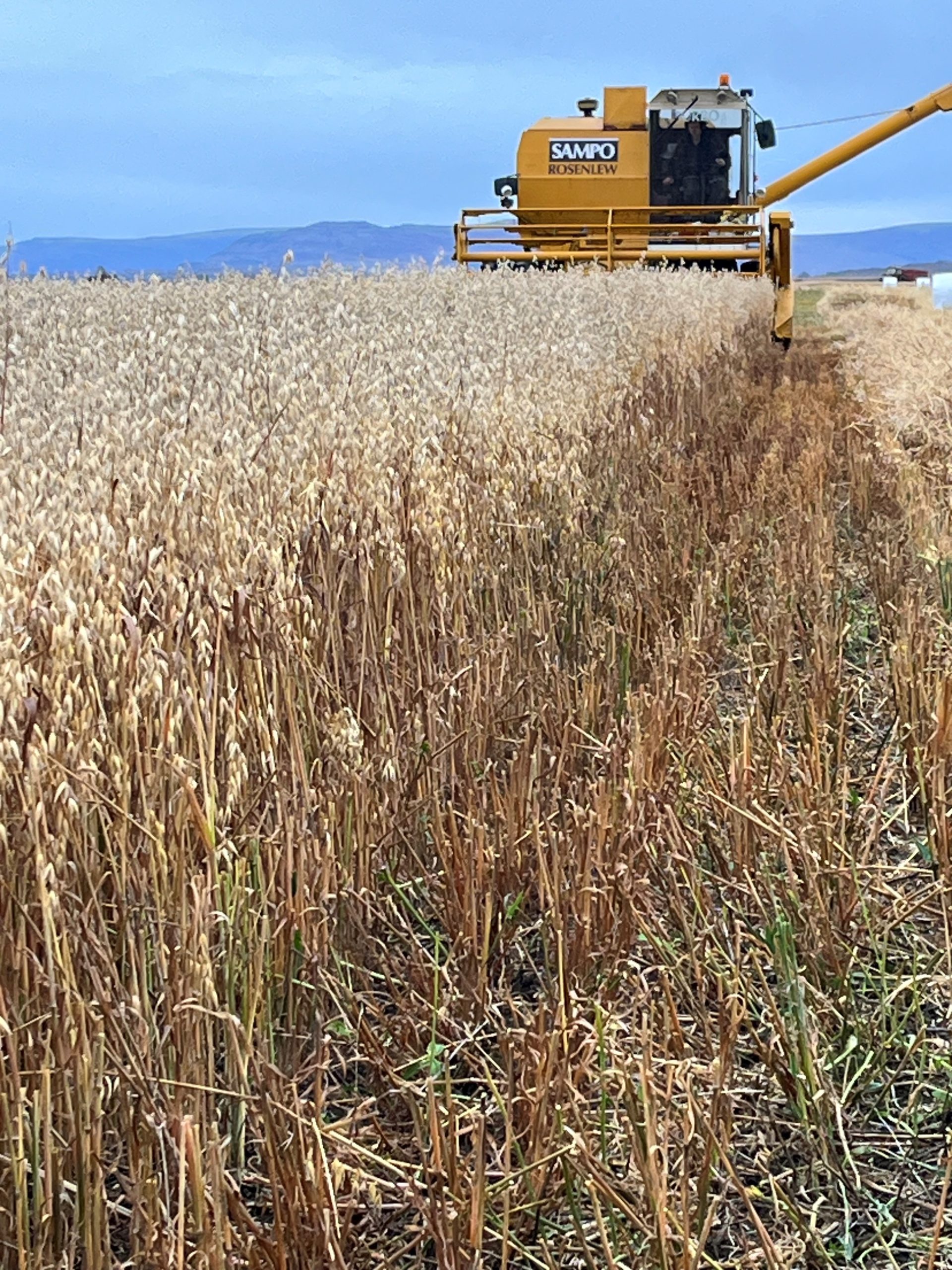 Mynd fyrir “Breytingar á landbúnaðarkafla aðalskipulags Borgarbyggðar”